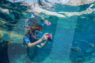 Illustration - Corsica