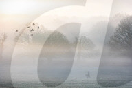 Misty and frosty weather for London and the South East today.