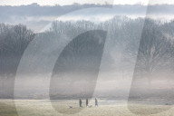 Misty and frosty weather for London and the South East today.