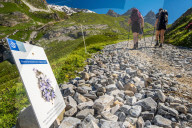 Illustration - Alpes