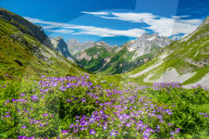 Illustration - Alpes