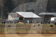 THE CANADIAN PRESS 2025-11-06