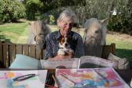 Inside the idyllic studio of Alison Lester: ‘Everything I do looks a bit like a stuffed toy’