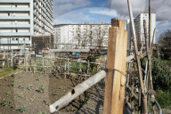 Meeting At The Bagatelle Market With The Demain Toulouse List - France