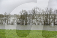 Flooding Following Rainfall And The Rising Of The Charente River - France