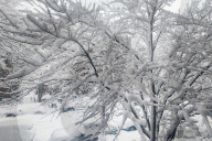 Une tempête de neige frappe New York