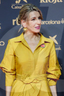 40th Goya Awards - Red Carpet