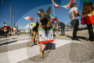 Iranian Community Celebrates Khamenei Death - LA