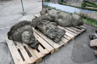 Ancient Balbals Evacuated to Zaporizhzhia - Ukraine
