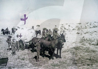 australian, light horse brigade, field ambulance, wagon, ottoman empire, middle east, world war i, war, world war, 1914-1918, palestine, 1918, red cross, soldiers, army, military,