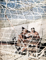 german, africa, corps, soldiers, camouflage, net, african, campaign, t, rommel, world war ii, northern africa, 1942