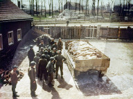 ww ii, historical, war, world war, second world war, germany, us, american, soldiers, military, dead people, corpses, bodies, followers, concentration camp, kz, buchenwald, stacked, jews, april, 1945, nazi, national socialist,