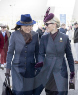 Die britischen Royals beim Cheltenham Festival 2026, Tag 2