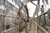 Bangladesh: Dry Fish Processing
