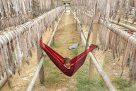 Bangladesh: Dry Fish Processing