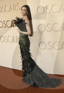 Oscars 2026: RED CARPET