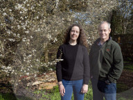 ‚ÄòMassive boost of serotonin!‚Äô: How a dose of nature is treating mental illness